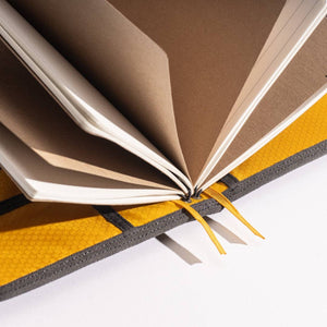 Field Journal: Brown