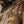 4-Season Cabin Jacket : Field Tan