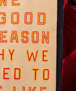 Give Me One Good Reason Why ... Camp Flag • Blink-182 x Oxford Pennant