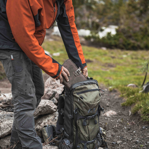 Field Journal: Brown