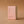 Cactus Flower - 50ml - Unisex Eau de Parfum