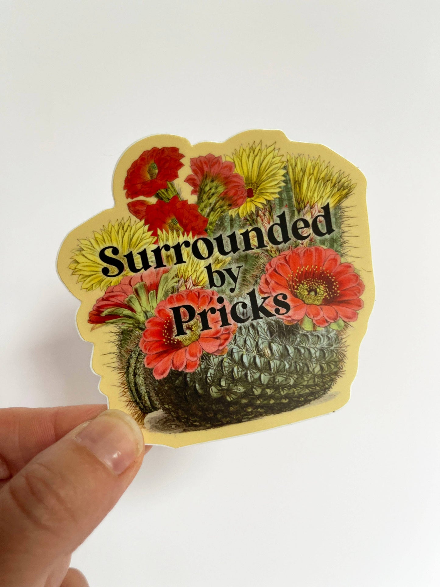 Surrounded by Pricks Sticker - Funny Cactus Decal