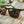 Camp Ridge Sunglasses