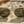 Camp Topo Sunglasses : LIMITED SERIES