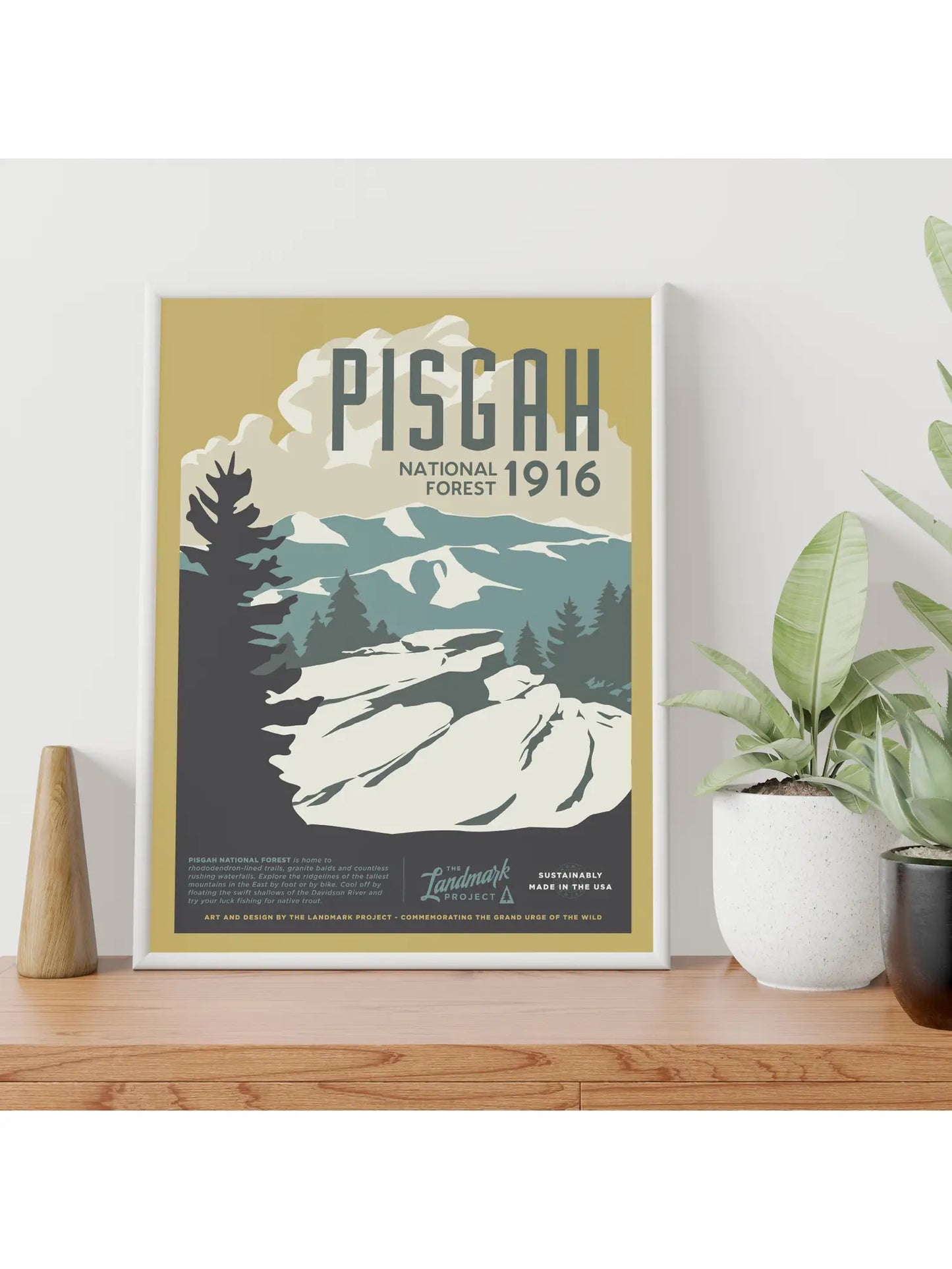 Pisgah National Forest - 12x16 Poster