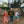 Raise Hell, Kid Camp Flag