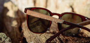 Camp Topo Sunglasses : LIMITED SERIES