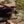 Camp Topo Sunglasses : LIMITED SERIES