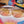 CAMP Sunglasses - Grateful Dead Limited Editions