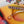 CAMP Sunglasses - Grateful Dead Limited Editions
