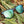Camp Trail Sunglasses