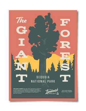 Giant Forest - 12x16 Poster