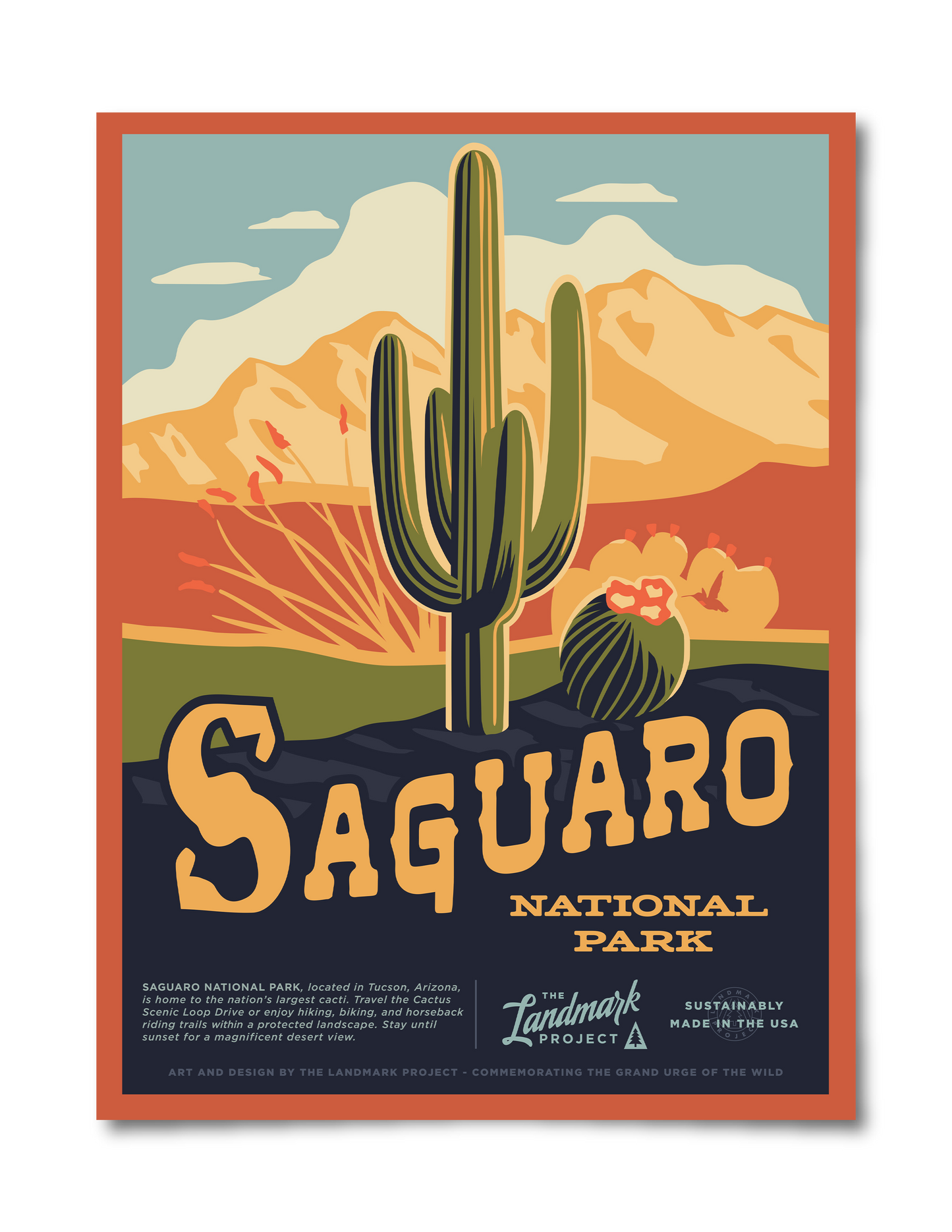 Saguaro National Park - 12x16 Poster