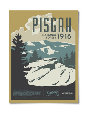 Pisgah National Parks Poster 12x16